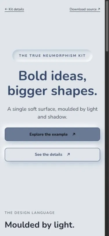 True Neumorphism mobile composition